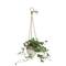 Hello Honey® 8.5" White Stoneware Hanging Planter with Jute Rope